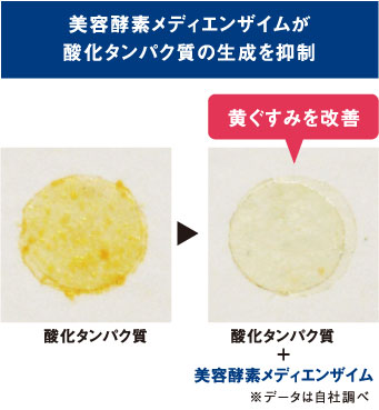美容酵素メディエンザイムが酸化タンパク質の生成を抑制
