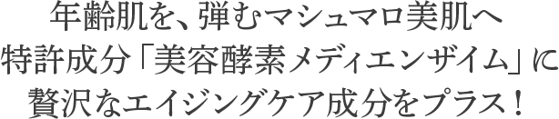 美カンヌ化粧品について 浸透させない肌理論 美カンヌ化粧品